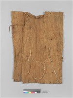 藏品(樹皮衣)的圖片